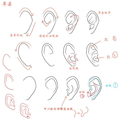 耳朵和鼻子的设计绘制画法