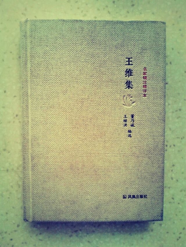 《王维集》王维别号“诗佛”他参禅悟理，学庄信道，四十多岁时过着半官半新的生活。他写诗不刻意铺陈，自然清新，如同信手拈来，淡远之境自见，有陶渊明遗风。王维是我最喜欢的中国古代诗人之一。推荐指数：★★★★★