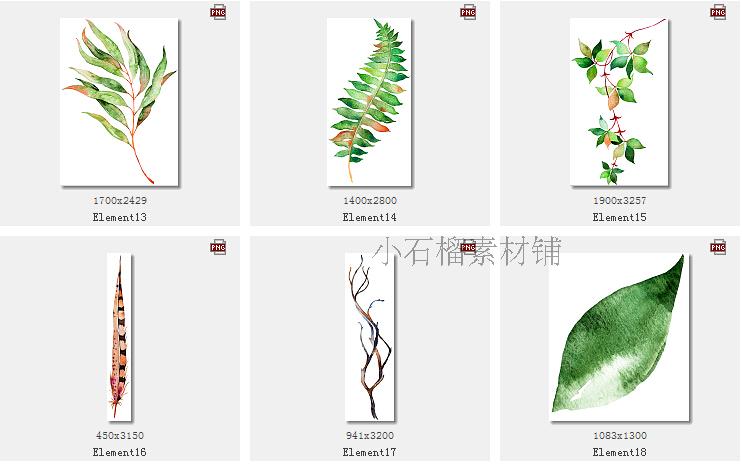 手绘水彩多树叶子植物木牌花环昆虫蝴蝶瓢虫免扣图设计素材PNG19