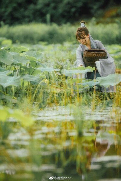 @鹿痴deer-
《邻夏荷》
小荷才露尖尖角
邻家有女初长成
@姜天狗的摄影 @每天学点摄影技巧 @古风联盟网 @湖南约拍 2怀化·新天地 ​​​​