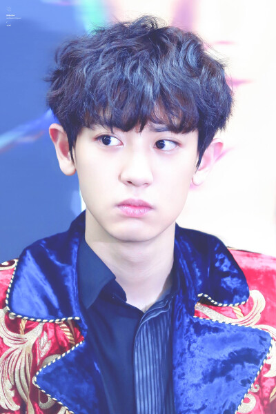 EXO ChanYeol 朴灿烈 cr:logo