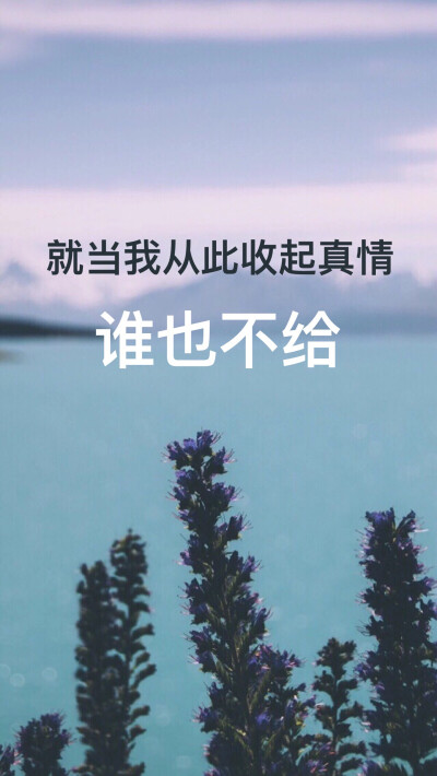 壁纸。