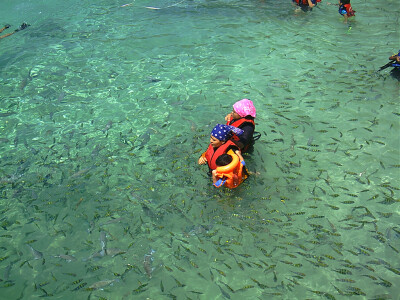 Northern Malaysia, Kedah, Pulau Payar Marine Park
马来西亚半岛北部 吉打州属 巴雅岛海洋公园