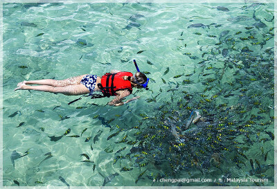 Northern Malaysia, Kedah, Pulau Payar Marine Park
马来西亚半岛北部 吉打州属 巴雅岛海洋公园