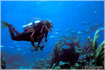 Northern Malaysia, Kedah, Pulau Payar Marine Park
马来西亚半岛北部 吉打州属 巴雅岛海洋公园