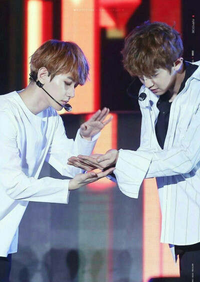 exo朴灿烈边伯贤高清壁纸 灿白