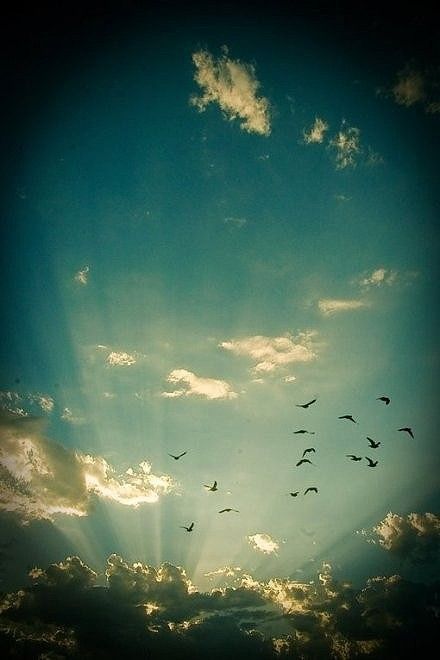 这世上，时光会改变太多的事情，但总有一些人和一些事，只要你相信，就永远不会改变。