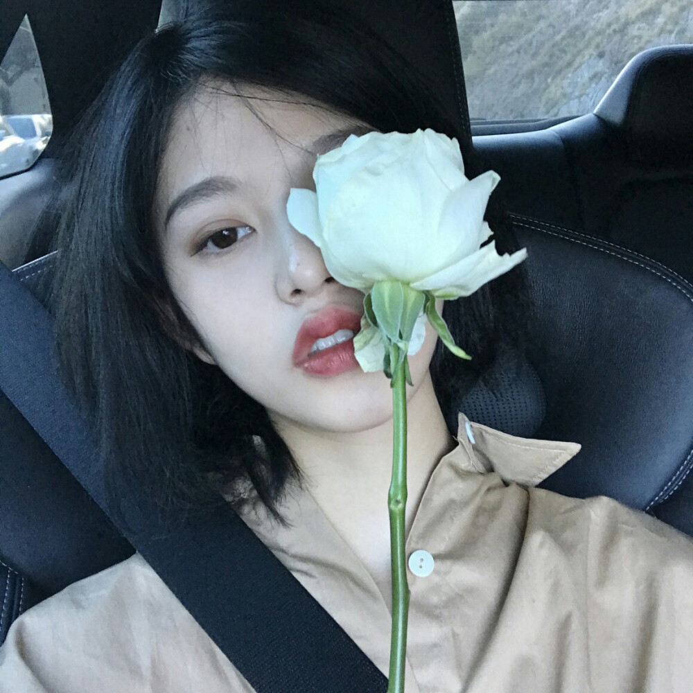 世中仙儿の 女生头像[清新][韩系][少女心]