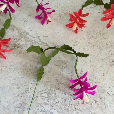 纸花欣赏
