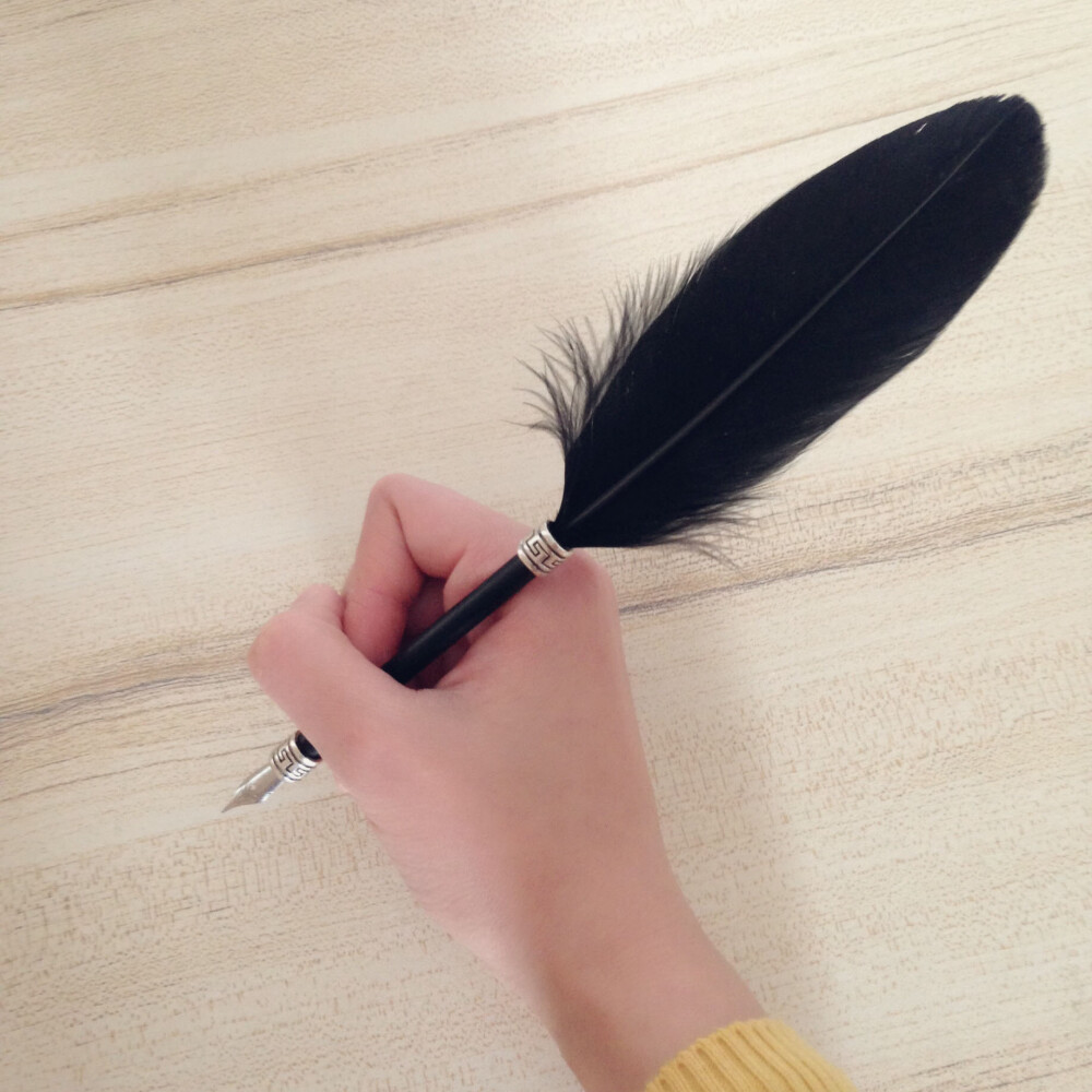 欧式复古羽毛笔蘸水笔天鹅毛创意文具手工DIY材料生日六一礼物