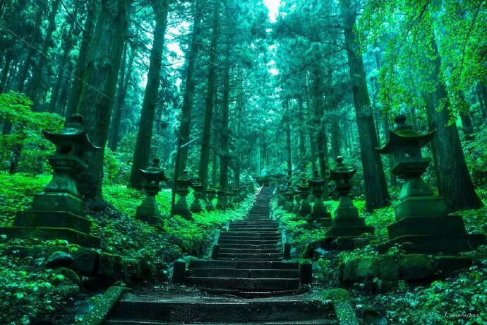  一位日本摄影师拍摄的上色見熊野座神社，真是太美了，和萤火之森里的一模一样啊​​​​