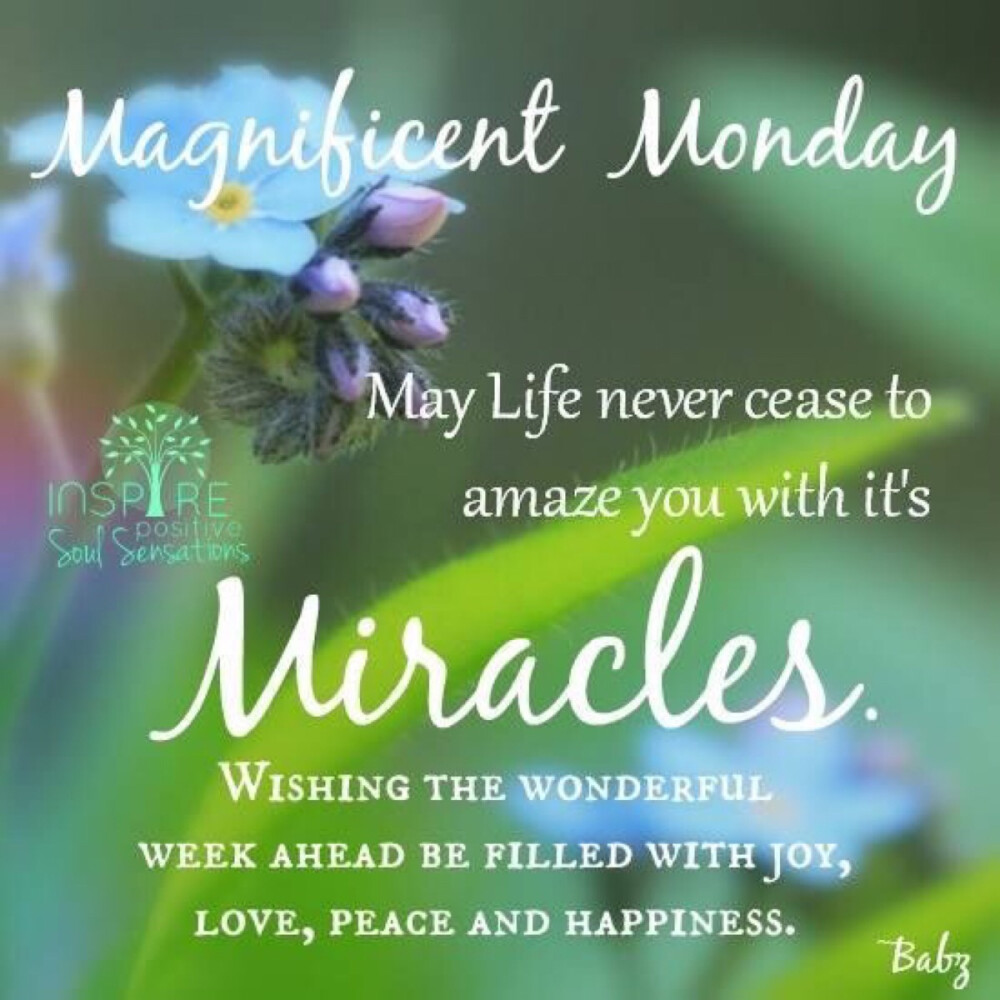 Magnificent Monday 