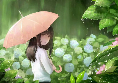 紫阳花