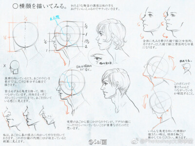 人物头部的多角度绘制参考