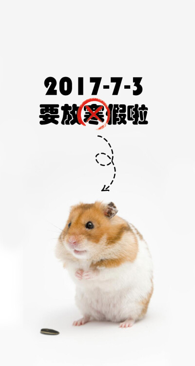 2017年7月3日