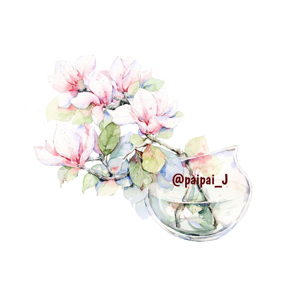 花开半夏，一抹温柔色彩绽放在笔尖。来自插画师@_paipai_