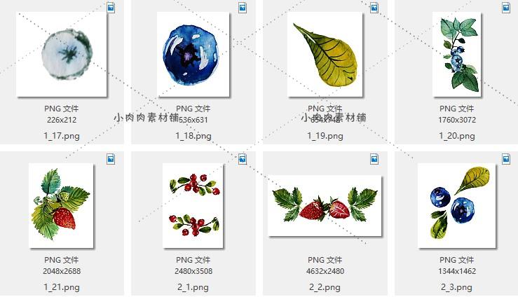 手绘水彩水果蓝莓草莓葡萄植物花卉背景PNG设计素材png217