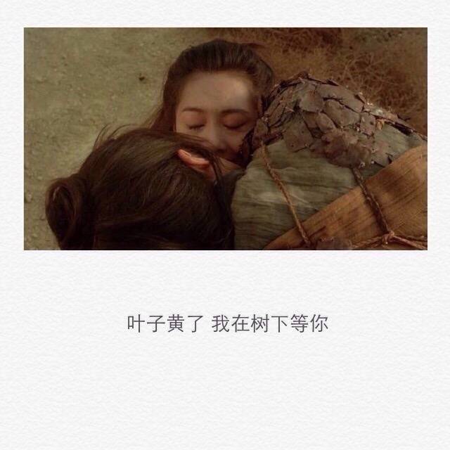 “你羡慕我一身潇洒，无牵无挂。我却羡慕你，有家，有他，有人等你回家。”