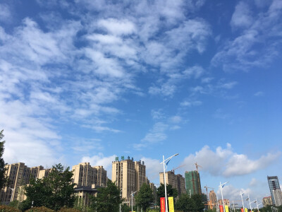 0703。天空蓝得就像什么都没发生过。