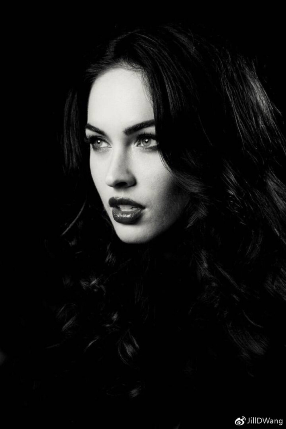 megan fox