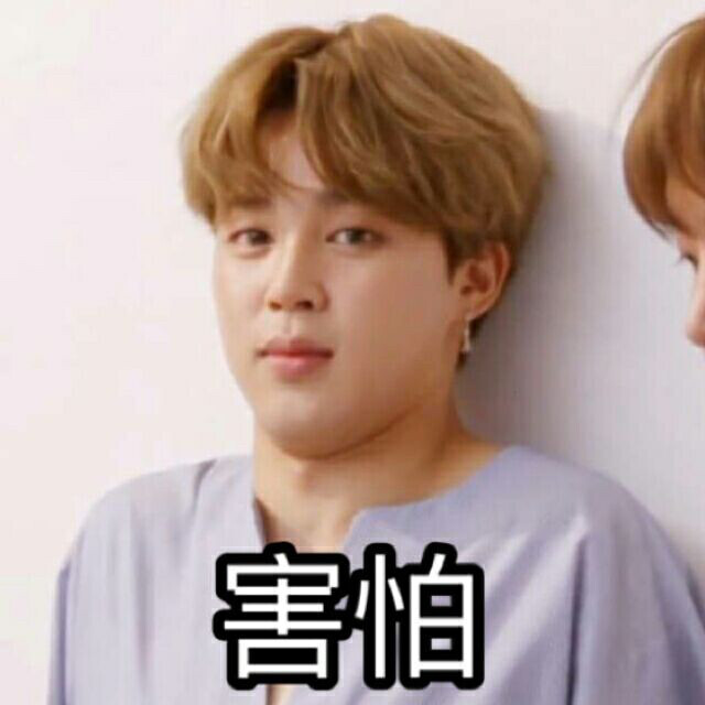 jimin 朴智旻 小奶音朴智旻