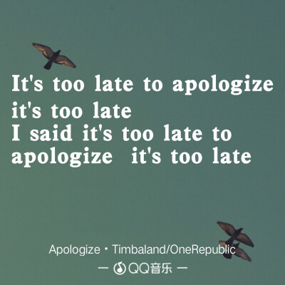 《Apologize》