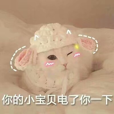 搞笑 gif 暴走漫画 文字控 斗图 表情包 金馆长表情包 装逼大神