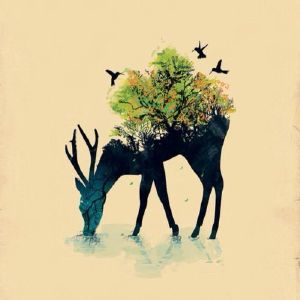 麋鹿/鸟/创意