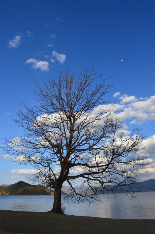 泸沽湖