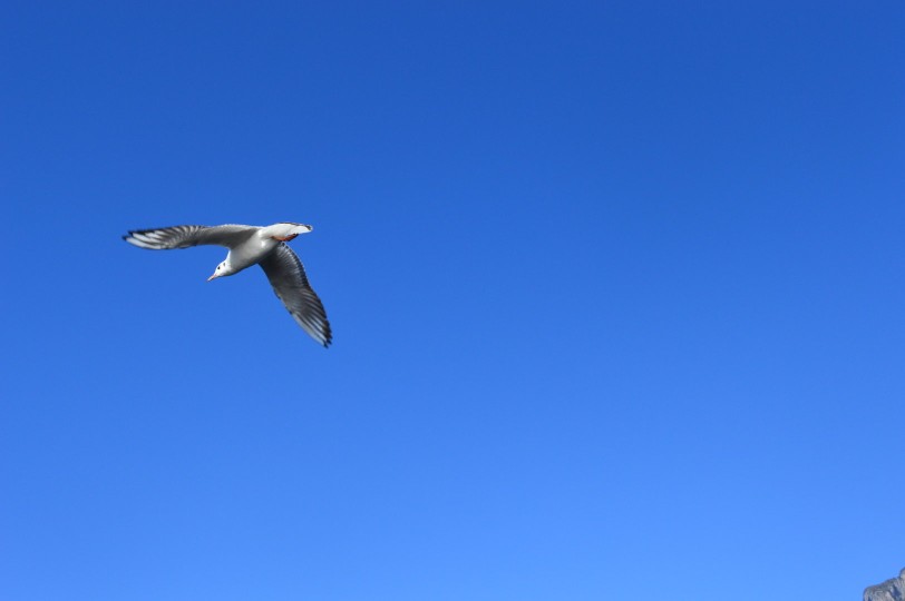 泸沽湖