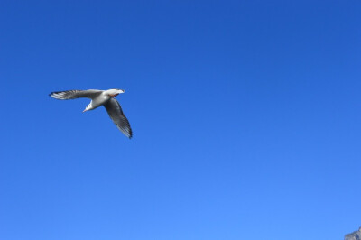 泸沽湖