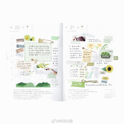 六月小结
#给你看看我的手帐吧##hobonichi#
图源：weibo@阿莫拉酱