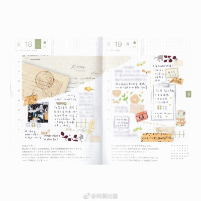 六月小结
#给你看看我的手帐吧##hobonichi#
图源：weibo@阿莫拉酱