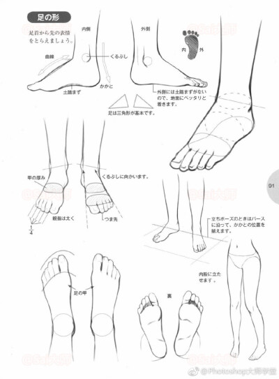 关与脚与鞋的画法绘制参考