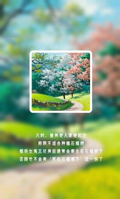 小说语录壁纸
云檀《如果不遇江少陵》