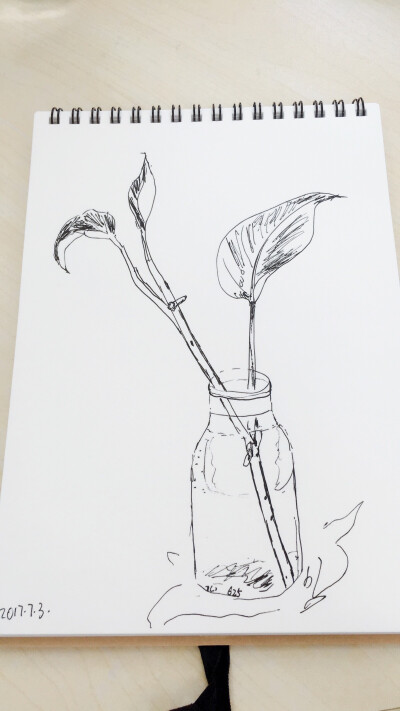 玻璃瓶里的绿萝