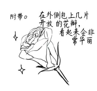 蔷薇的画法8