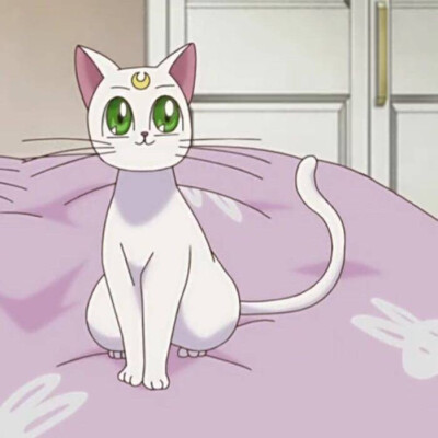 [情侣[动漫]][双人[求佛]][不定时更新]