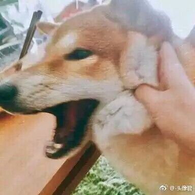 [情侣[动漫]][双人[求佛]][不定时更新]