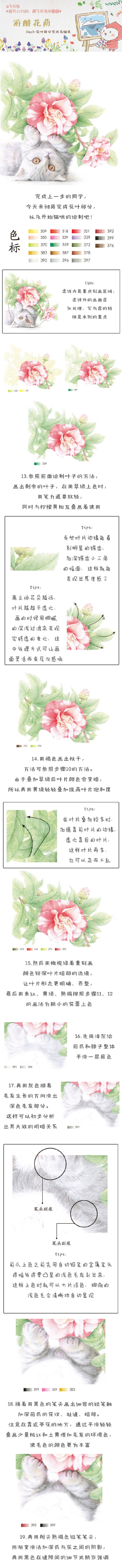 #每天10分钟，跟飞乐鸟学画画# 今天把花叶部分全部完成吧，接着开始猫爪的绘制咯！