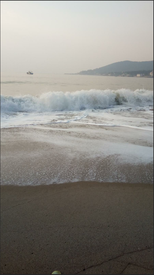 清晨的海浪