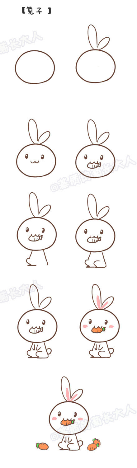 简笔画——兔子
