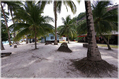 Southern Malaysia, Johor, Dayang Island 马来西亚南部 柔佛州属 达央岛