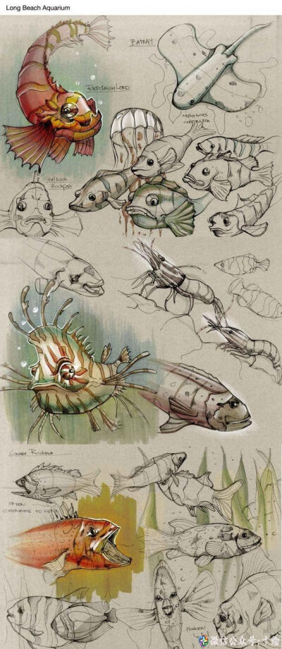 有点小惊喜，各种昆虫、小动物的绘画参考，太需要了！