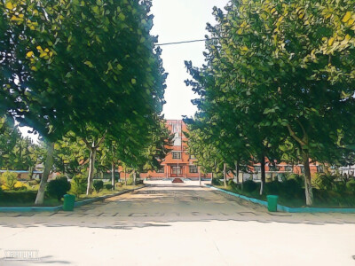 小学