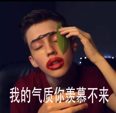 戳爷（troye sivan）表情包 本人大爱戳爷我不是黑粉