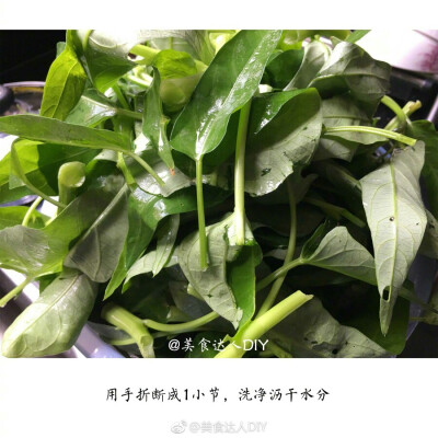 【凉拌空心菜】
清炒很好吃 但是凉拌的口感也超级棒 分享给大家