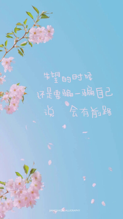 江时七的字