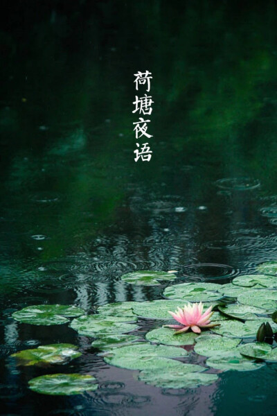 【中国节气：小暑】浓荫如盖，温风骤雨。鹰翔高空，蟋蟀居宇。荔枝锦苞，木槿始荣。阶庭长苔，荷塘夜语，帘下纳凉。《月令七十二候集解》中云：六月节……暑，热也，就热之中分为大小，月初为小，月中为大，今则热气…