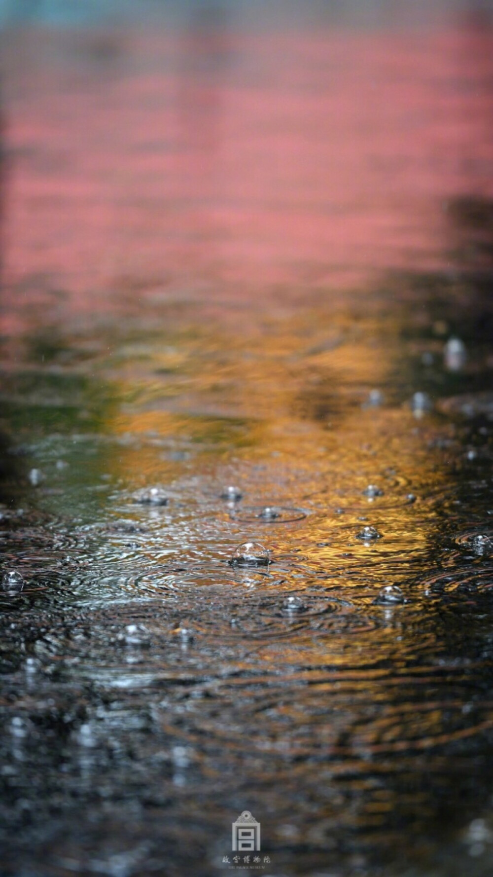 故宫雨景